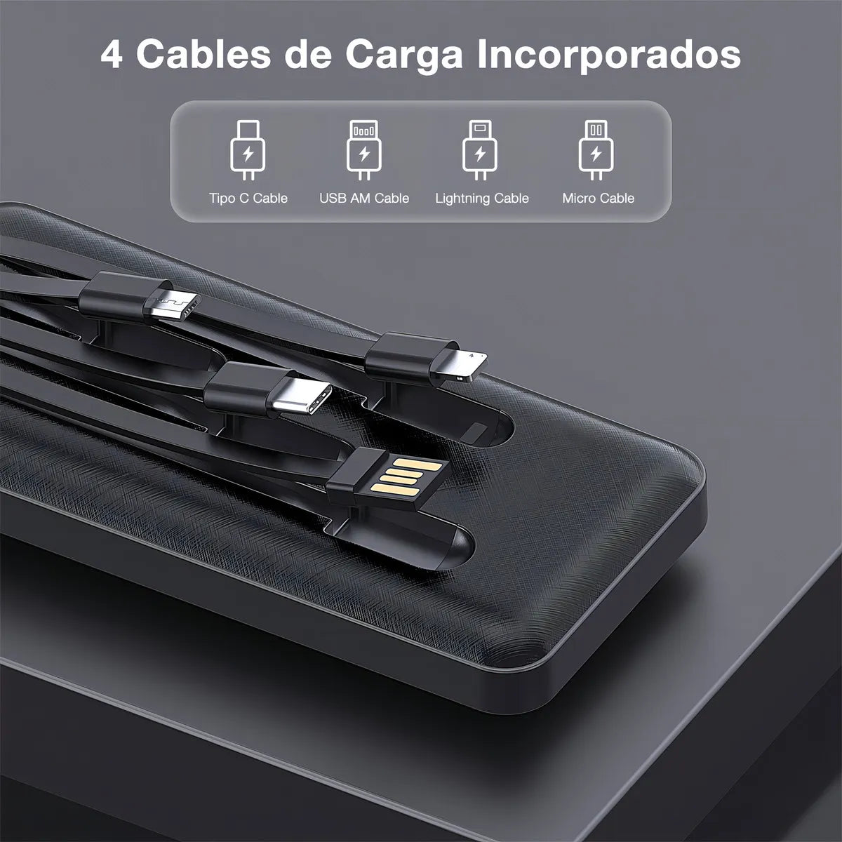 Cargador portátil